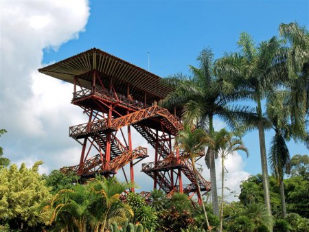 Atracción extrema - vértigo - adrenalina –acción un día de total intensidad en el parque nacional de café