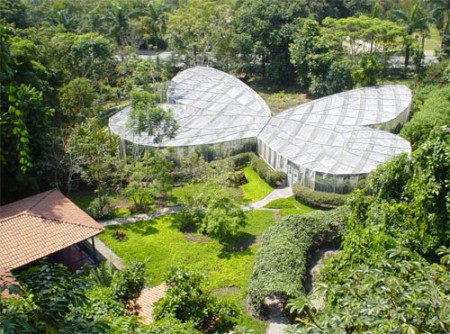 Viaje ecológico: relajación – naturaleza – tranquilidad un día  lleno de ecología y mucha tranquilidad en el  jardín botánico 