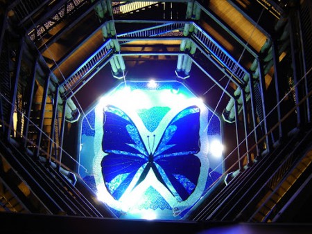 disfruta de una quindio lleno de aventuras y emociones 